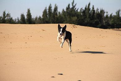  《黑神话：悟空》PC性能测试结果喜人 主创冯骥发文谈优化